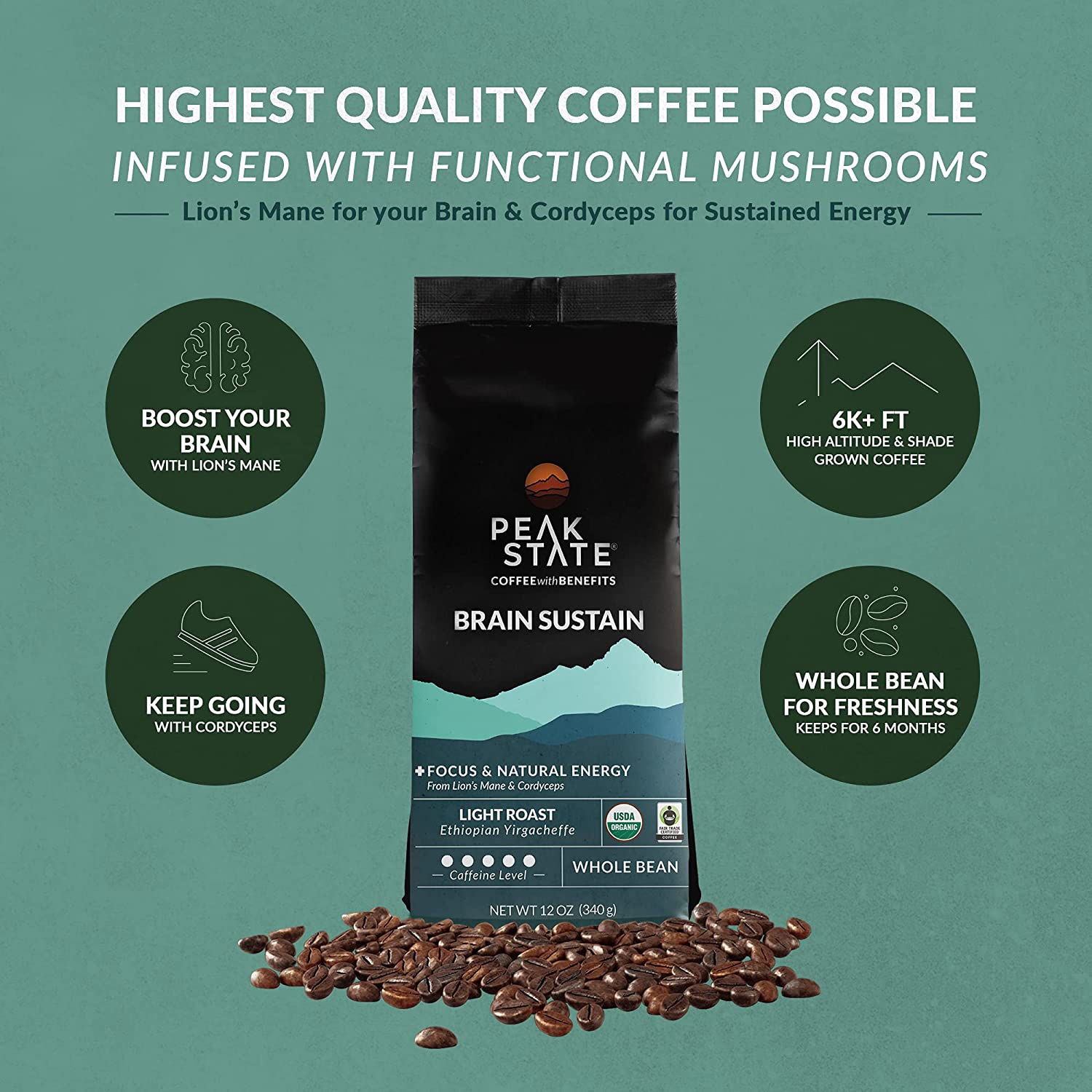 [FM] BRAIN SUSTAIN Light Roast - 5lb Whole Bean