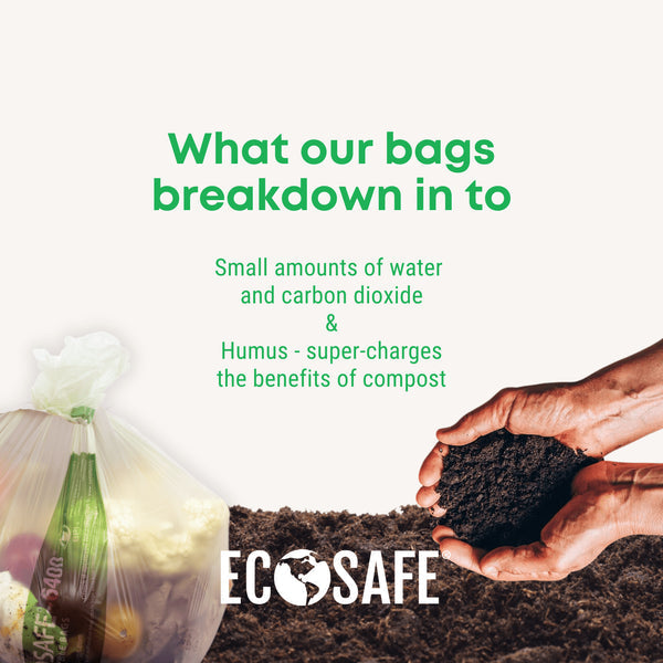 EcoSafe Zero Waste Compostable Shopping Bag with Handles, 12 × 7 × 20 in, 0.85 mil, 15 lb Capacity (QTY 500), SKU TB1920-85