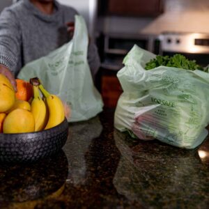 EcoSafe Zero Waste Compostable Shopping Bag with Handles, 12 × 7 × 20 in, 0.85 mil, 15 lb Capacity (QTY 500), SKU TB1920-85