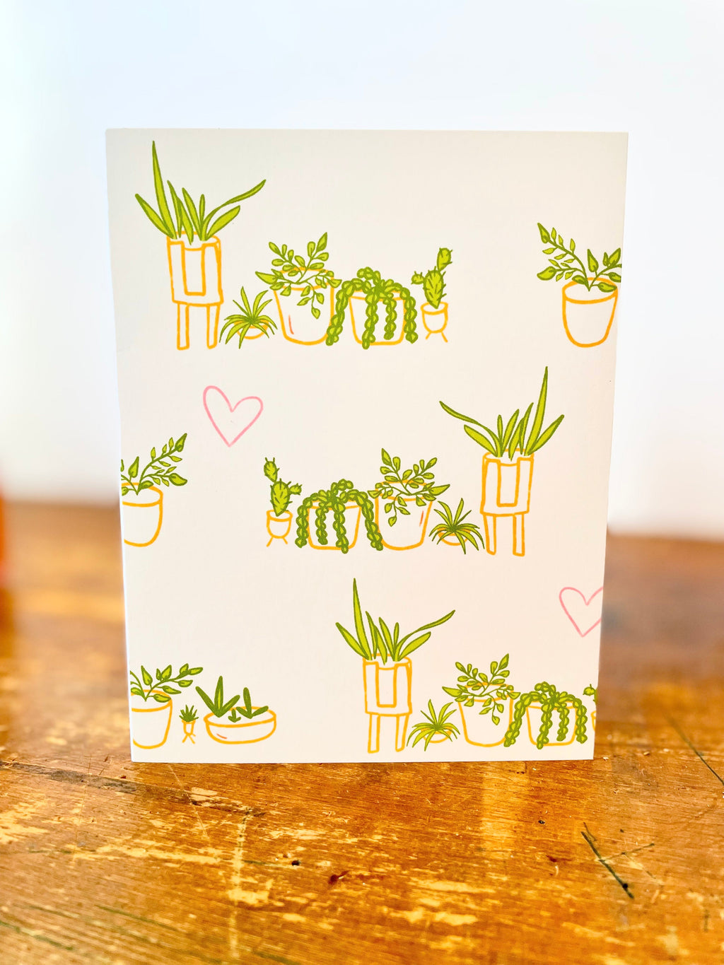 "Growing Wonder" Trio Gift Set: Plant Kit, Greeting Cards, Pocket Journal, Organic Tea, Honey (Winter Dreaming)