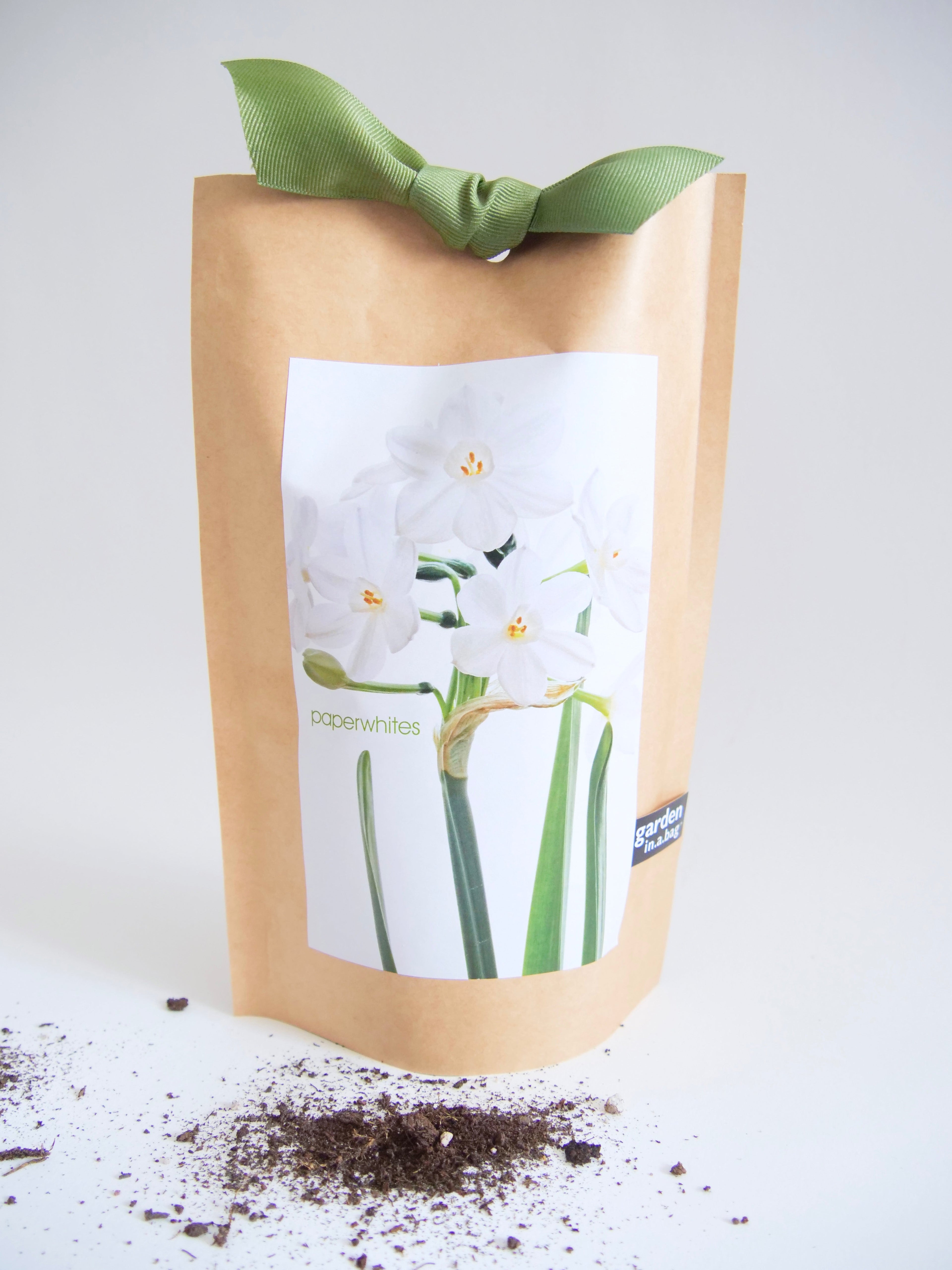 "Get Growing" Mindful Garden in a Bag Kit: Mindfulness Journal, Meditation Card + Growing Kit - (Assorted Year-Round)