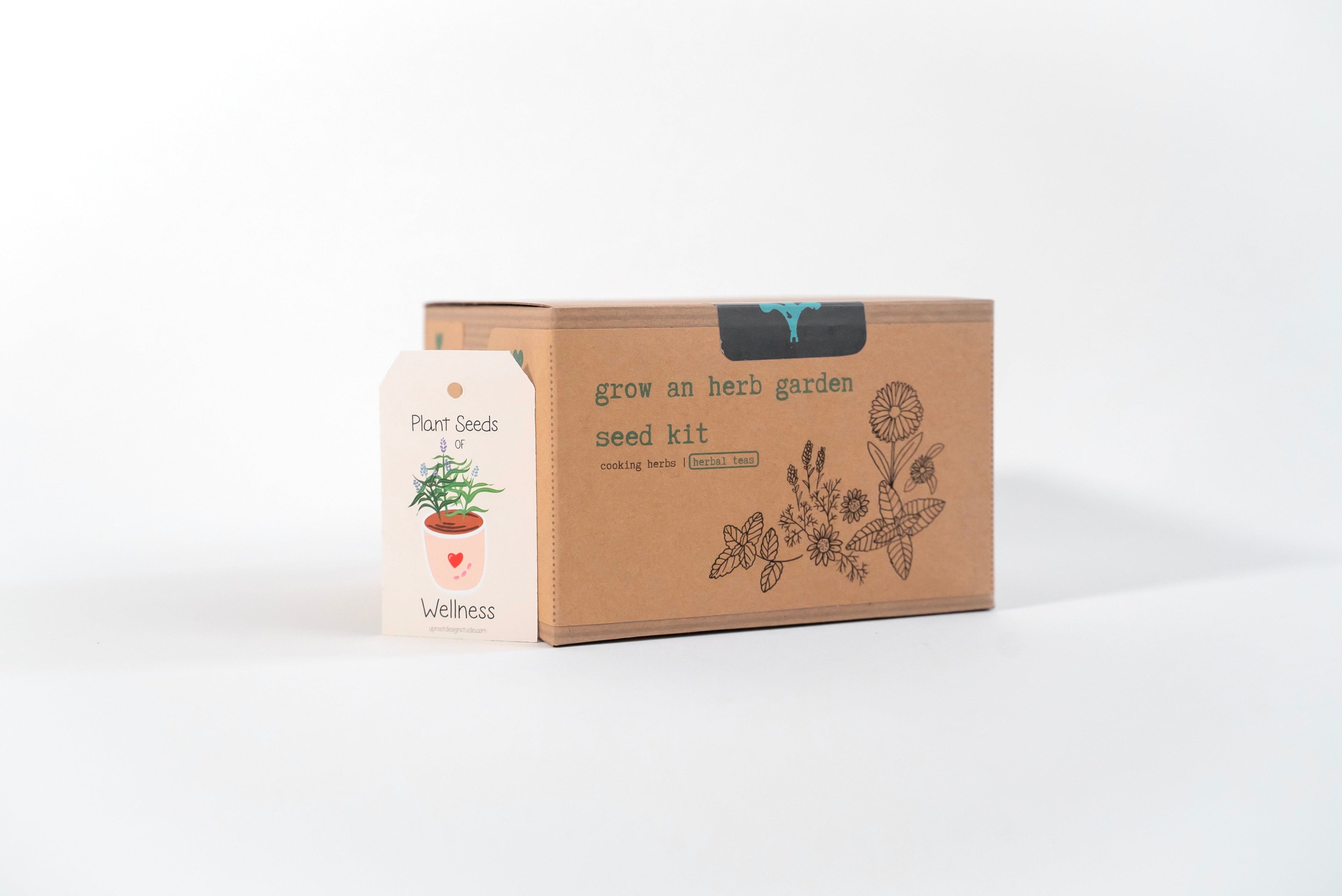 "Get Growing" Plant Kit (Your Choice - Winter Dreaming)