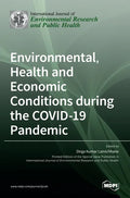 Environmental, Health and Economic Conditions during the COVID-19 Pandemic - Hardcover