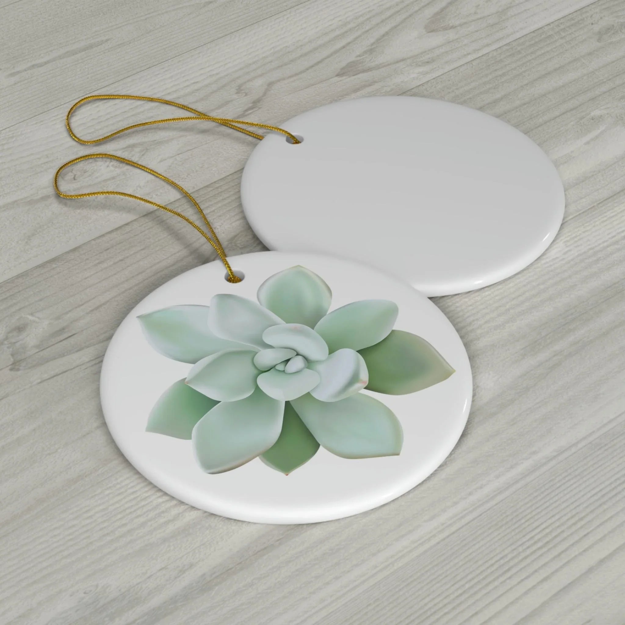 Pachyveria Haagei Succulent Ceramic Ornament – Pastel Blue Holiday Decor
