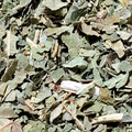 Fig Leaves