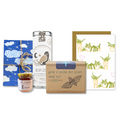 "Growing Wonder" Trio Gift Set: Plant Kit, Greeting Cards, Pocket Journal, Organic Tea, Honey (Winter Dreaming)