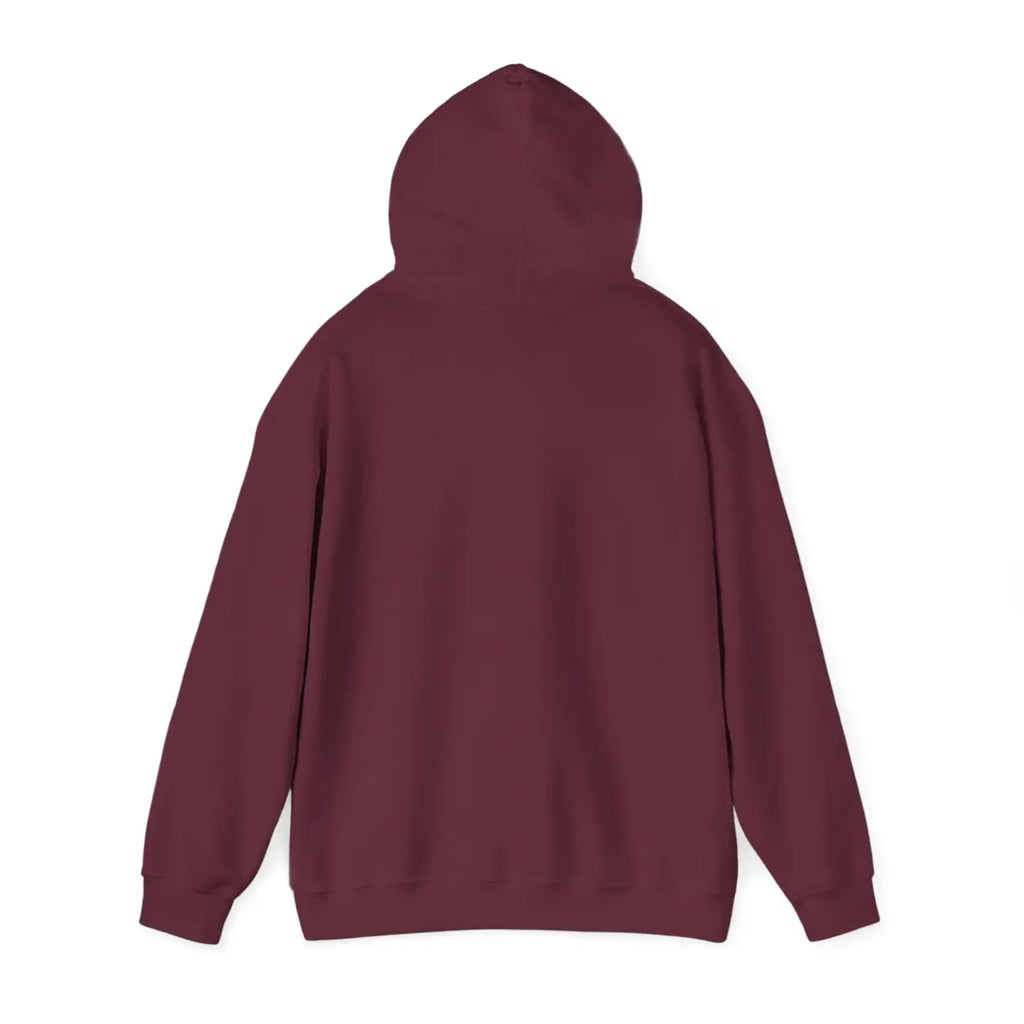 Aquarius Zodiac Sign Hooded Sweatshirt – Eco-friendly - Dipaliz