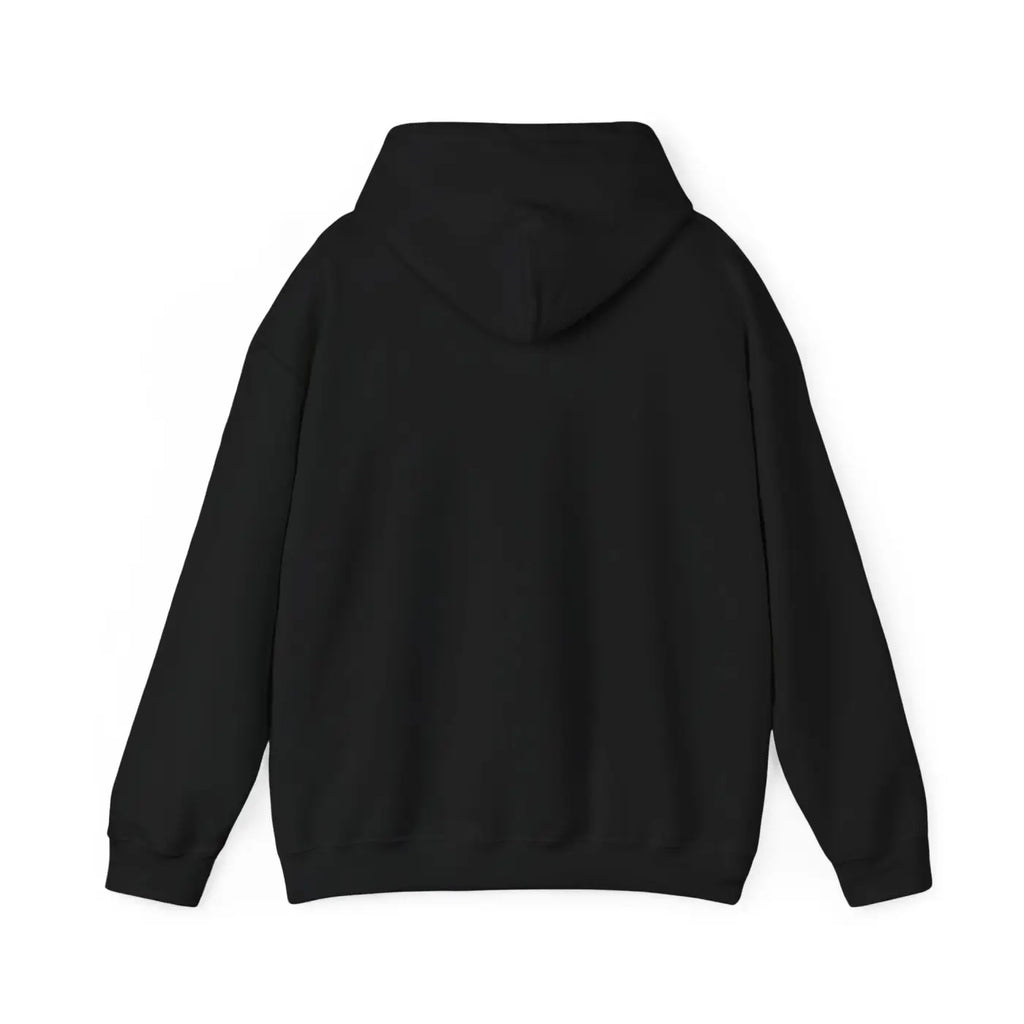 Aquarius Zodiac Sign Hooded Sweatshirt – Eco-friendly - Dipaliz