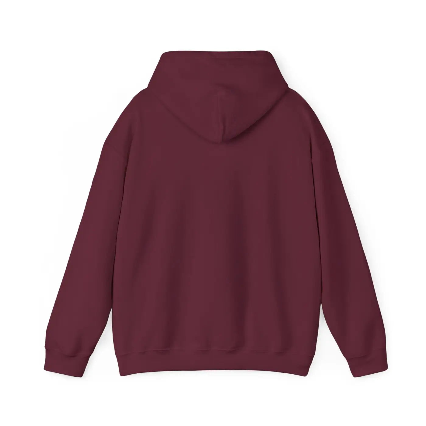 Aquarius Zodiac Sign Hooded Sweatshirt – Eco-friendly - Dipaliz