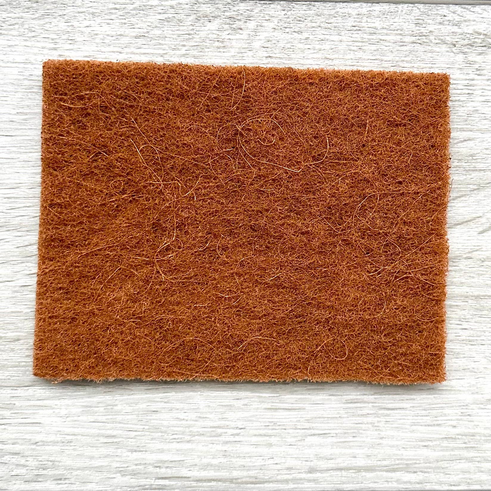EcoFreax Plant Based Coconut Fibers Scouring Biodegradable Pads